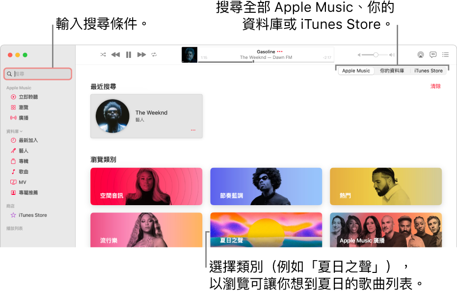 Apple Music 視窗的左上角顯示搜尋欄位，類別列表位於視窗的中間，而 Apple Music、「你的資料庫」和 iTunes Store 則可在右上角取用。在搜尋欄位中輸入搜尋條件，然後選擇來在整個 Apple Music、只在你的資料庫或在 iTunes Store 中搜尋。