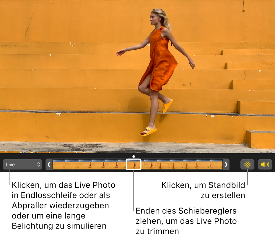 Ein Live Photo in der Bearbeitungsansicht mit einem Regler darunter, der die Bilder des Fotos zeigt. Die Tasten „Live Photo“ und „Lautsprecher“ links neben dem Regler und einem Einblendmenü rechts, aus dem Effekte für Endlosschleifen, Abpraller und Langzeitbelichtungen hinzugefügt werden können