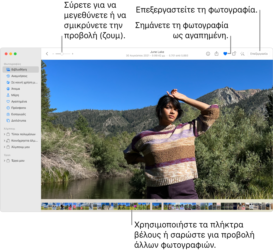Το παράθυρο των Φωτογραφιών, στο οποίο εμφανίζεται μια μεγεθυμένη φωτογραφία στα δεξιά με μια σειρά μικρογραφιών από κάτω. Η γραμμή εργαλείων στο πάνω μέρος περιλαμβάνει το ρυθμιστικό Ζουμ, το κουμπί «Αγαπημένο» και το κουμπί «Επεξεργασία».