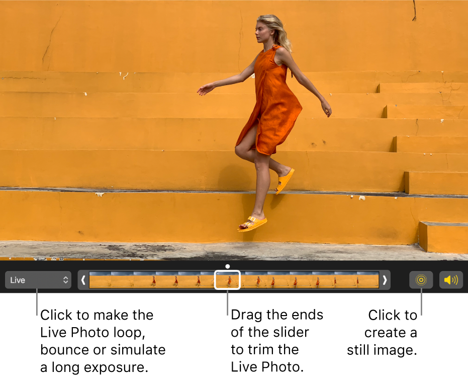 A Live Photo in editing view with a slider beneath it showing the frames of the photo. The Live Photo button and Speaker button are to the left of the slider, and to the right is a pop-up menu you can use to add a loop, bounce or long exposure effect.