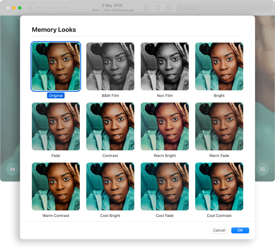 The Photos window showing looks that you can apply to the items in a memory.