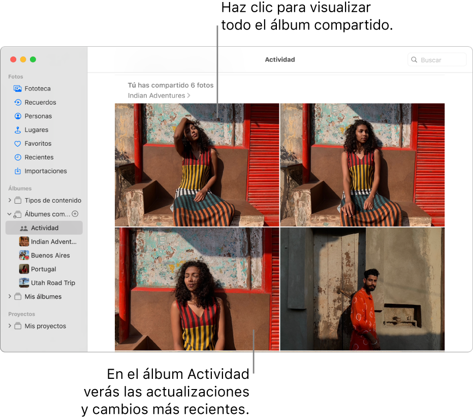 La ventana Fotos con Actividad seleccionado en la barra lateral y el álbum Actividad mostrado a la derecha.