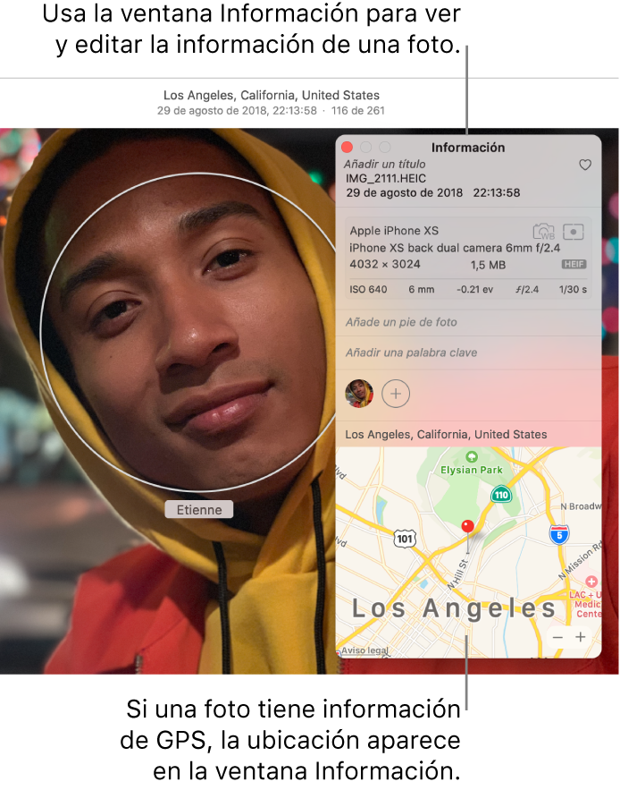 La ventana de información de una foto.