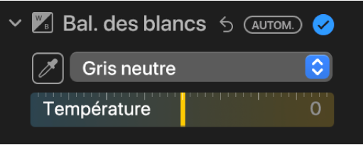 Les commandes de balance des blancs dans la sous-fenêtre Ajuster.