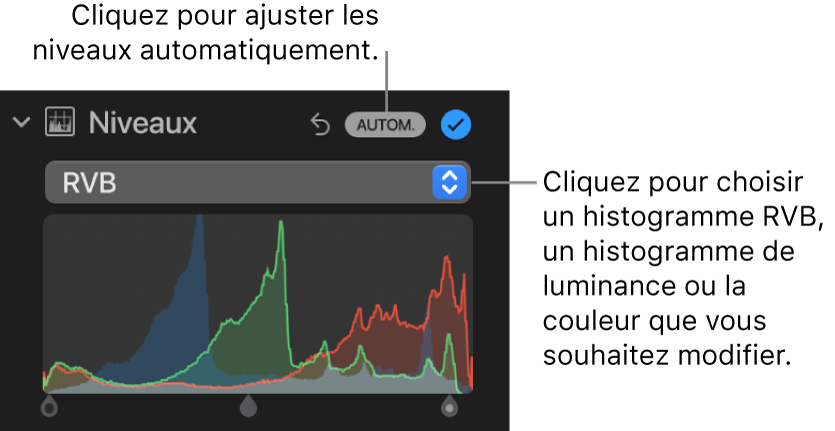 Les commandes Niveaux dans la sous-fenêtre Ajuster, avec le bouton Auto en haut à droite et l’histogramme RVB en dessous.