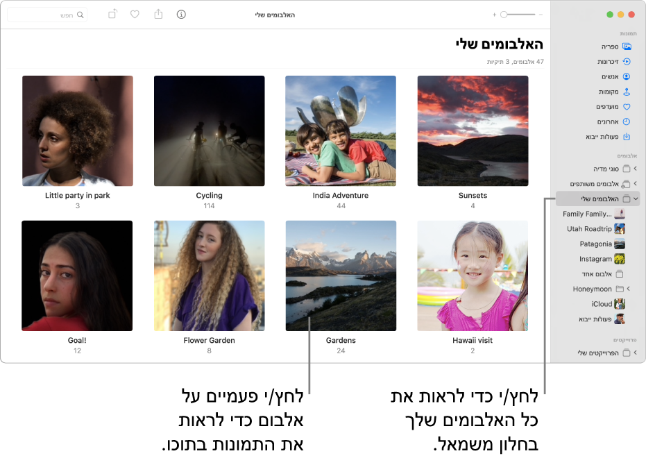 החלון ״תמונות״ כשאפשרות ״האלבומים שלי״ מסומנת בסרגל הצד, והאלבומים שיצרת מוצגים בחלון הימני.
