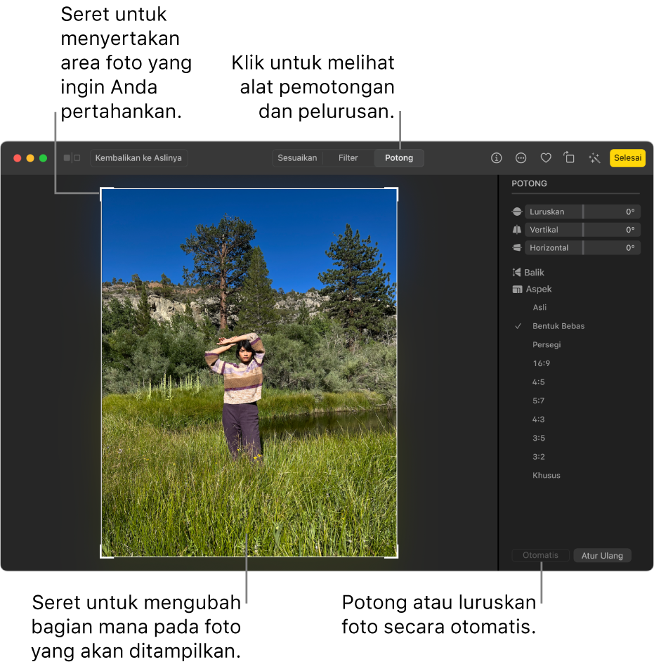 Foto dalam tampilan pengeditan, dengan Potong dipilih di bar alat, persegi panjang pilihan di sekitar foto, dan penggeser pelurusan, pilihan rasio aspek, dan tombol Otomatis dan Atur Ulang di sebelah kanan.