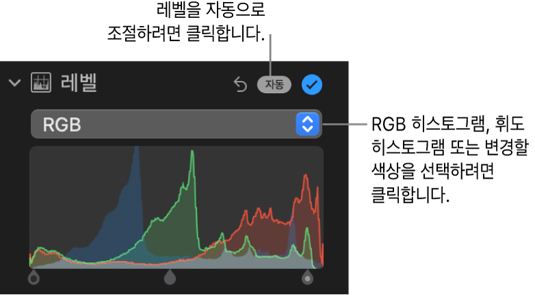 오른쪽 상단에 자동 버튼과 아래에 RGB 히스토그램이 표시된 조절 패널의 레벨 제어기.