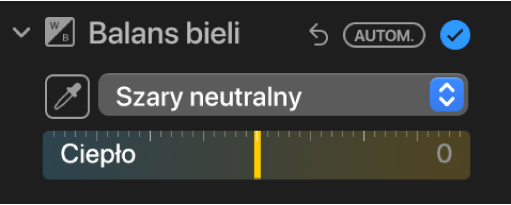 Narzędzia balansu bieli w panelu Korekta.