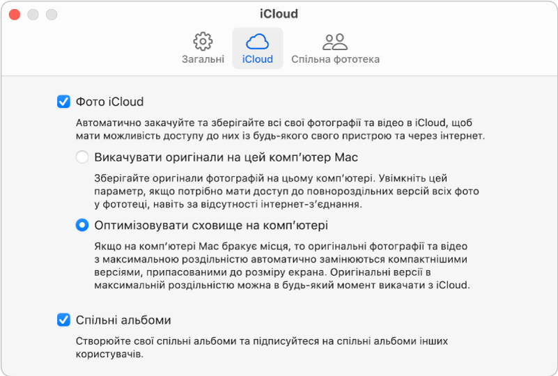 Панель iCloud параметрів Фотографій.