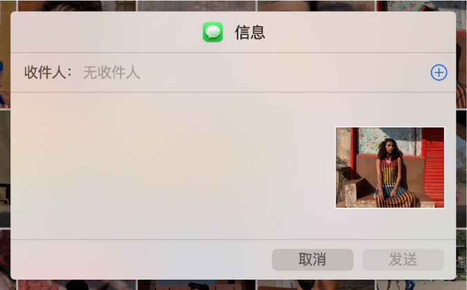 使用“信息”从“照片” App 共享照片时添加收件人的对话框。