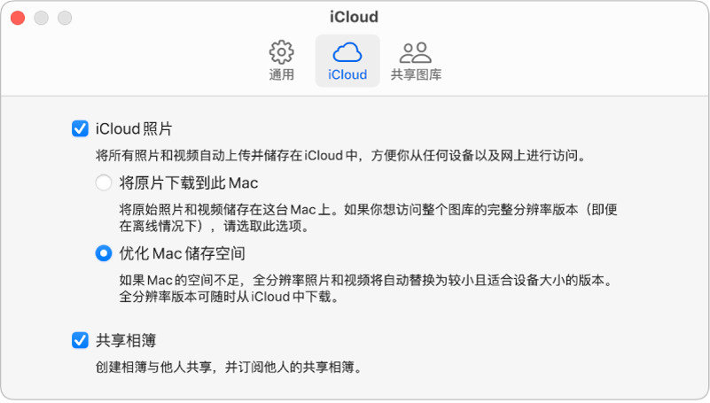 “照片”设置的 iCloud 面板。