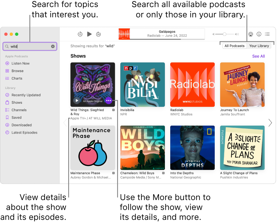 The Podcasts window showing text entered in the search field in the top-left corner, and episodes and shows matching the search of all podcasts in the screen to the right. Click the link below the show to view details about the show and its episodes. Use the show’s More button to follow the show, change its settings, and more.
