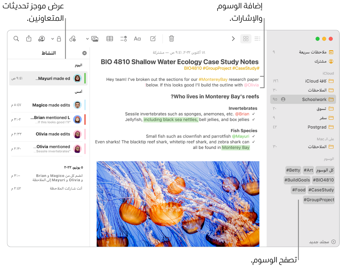 نافذة في تطبيق الملاحظات في عرض المعرض تظهر بها وسيلة شرح للوسوم في الشريط الجانبي. في الملاحظة الرئيسية، توجد وسيلة شرح لوسم وإشارة. على اليسار، توجد قائمة أنشطة بها وسيلة شرح لعرض ملخص التحديثات.