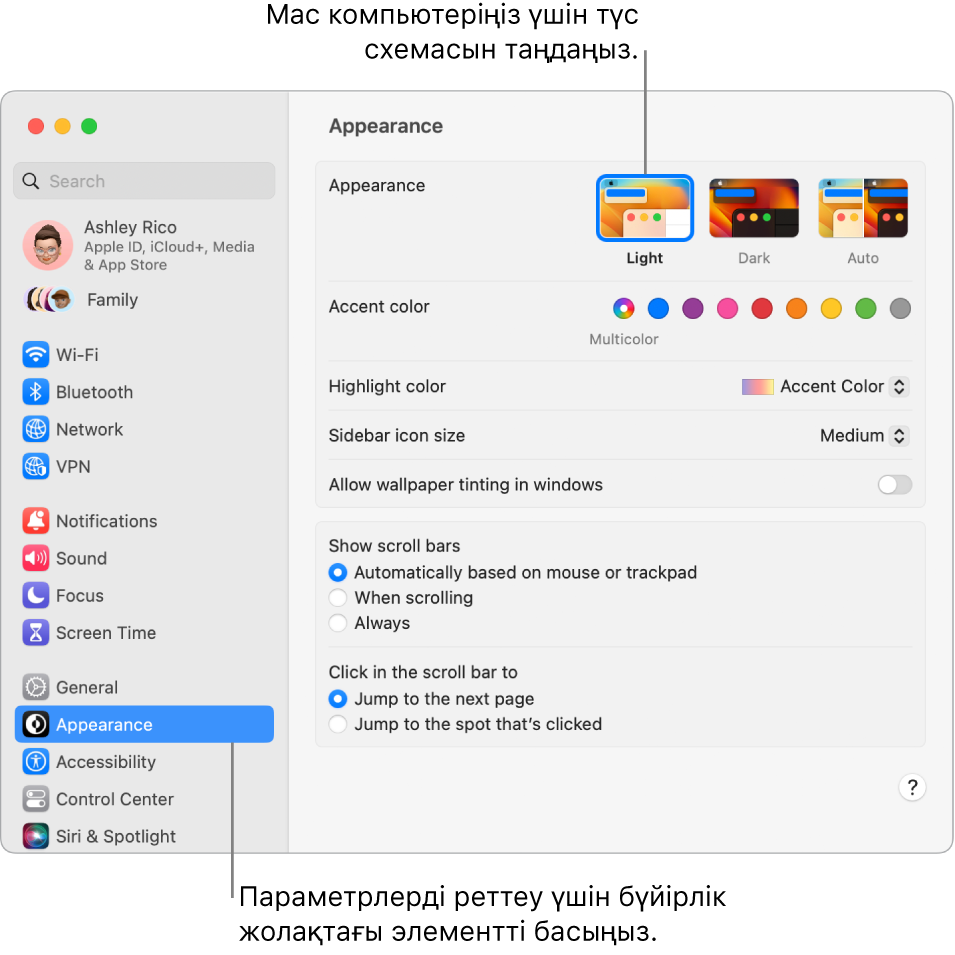 System Settings тармағындағы Appearance терезесі.