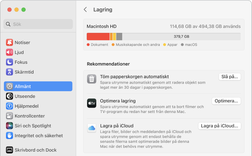 Inställningsavsnittet Rekommendationer för lagring med alternativen Lagra på iCloud, Optimera lagring och Töm papperskorgen automatiskt.