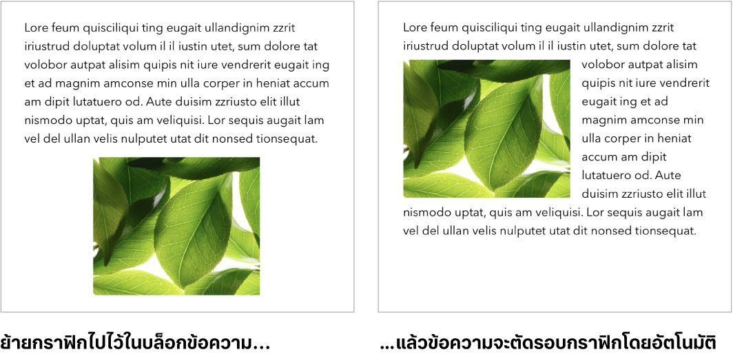 หน้าต่าง Pages ที่แสดงวิธีที่ข้อความจัดเรียงอยู่รอบๆ กราฟิก