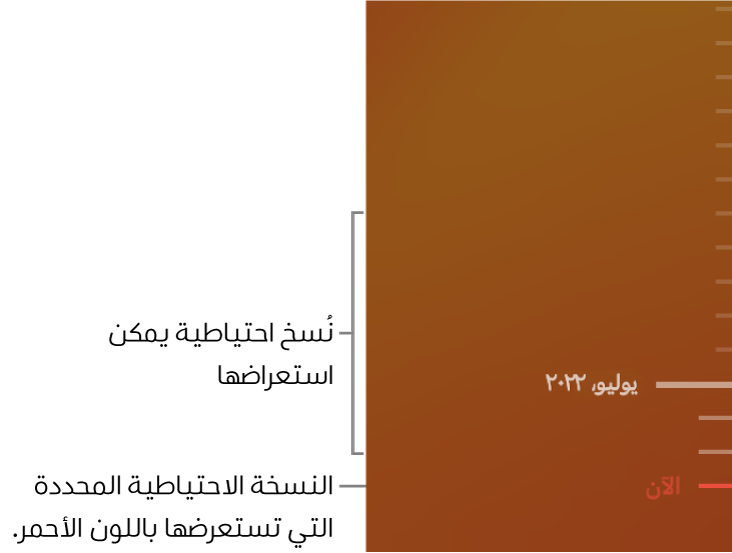 المخطط الزمنى للنسخ الاحتياطي في آلة الزمن.