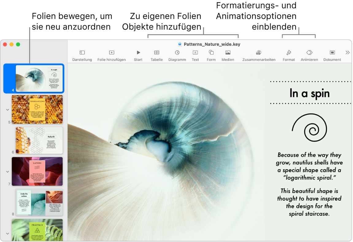 Ein Keynote-Fenster mit dem Foliennavigator links und Informationen zum Neuanordnen von Folien, der Symbolleiste und den Bearbeitungswerkzeugen oben, der Taste „Zusammenarbeiten“ oben rechts und den Tasten „Format“ und „Animieren“ rechts.