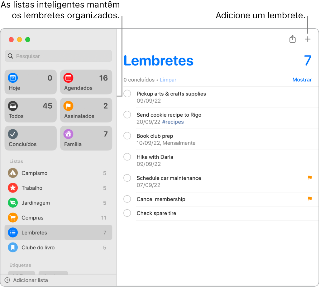 Uma janela da aplicação Lembretes com listas inteligentes à esquerda e outros lembretes e listas por baixo. O cursor está num lembrete. Existem chamadas para as listas inteligentes e para o botão Adicionar um novo lembrete.