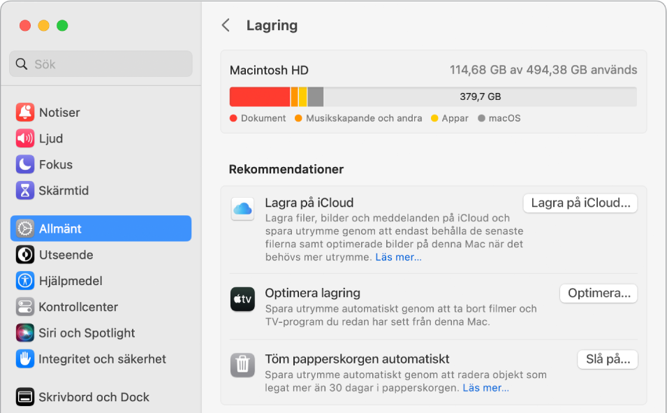 Inställningsavsnittet Rekommendationer för lagring med alternativen Lagra på iCloud, Optimera lagring och Töm papperskorgen automatiskt.