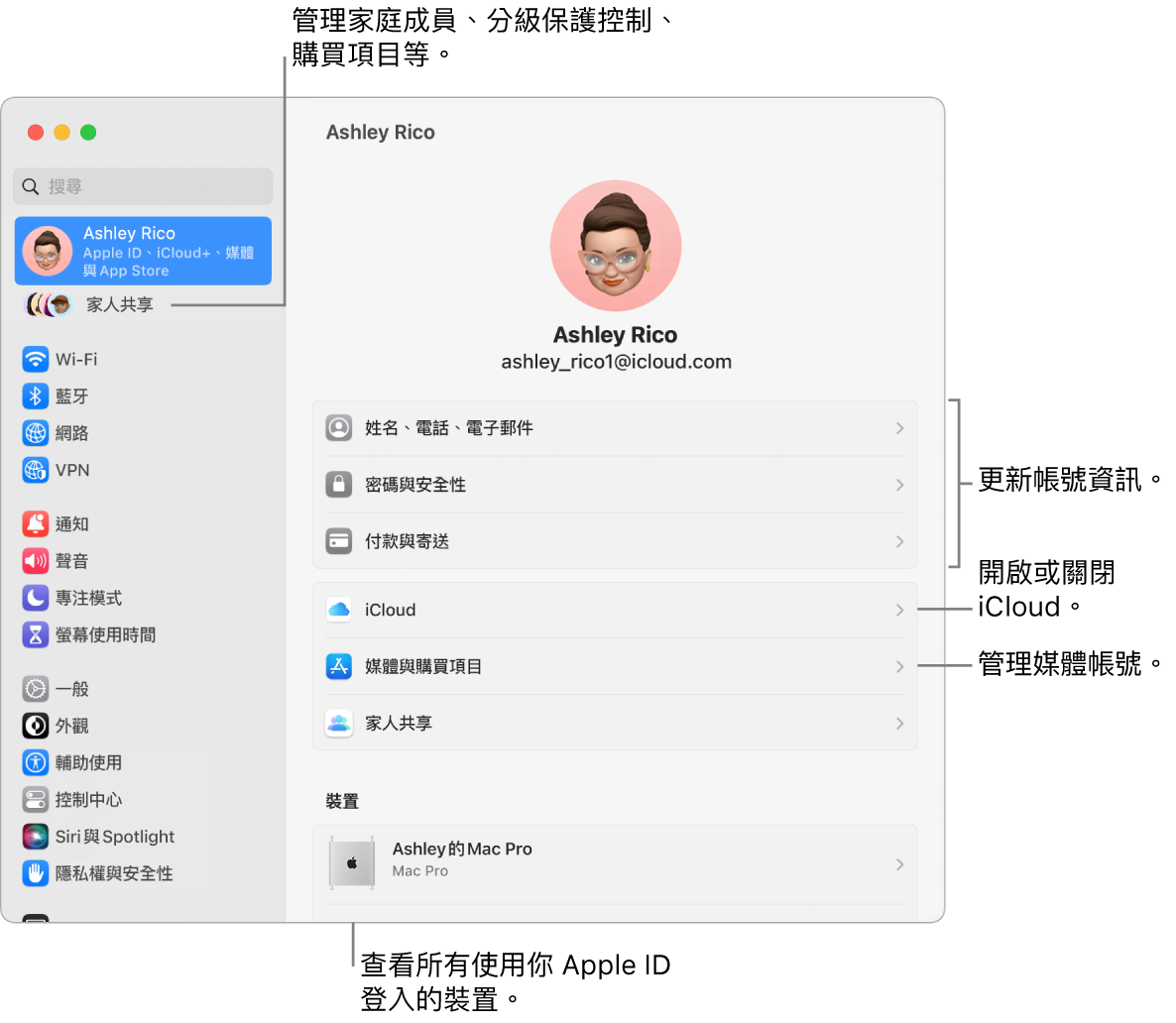 「系統設定」中的 Apple ID 面板包含更新帳號資訊、開啟或關閉 iCloud 功能、管理媒體帳號以及可管理家庭成員、分級保護控制、購買項目和更多內容的「家人共享」的說明框。