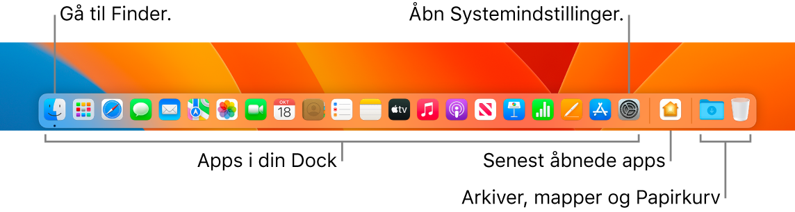 Et billede af Dock med Finder, Systemindstillinger og stregen i Dock, der adskiller apps fra arkiver og mapper.