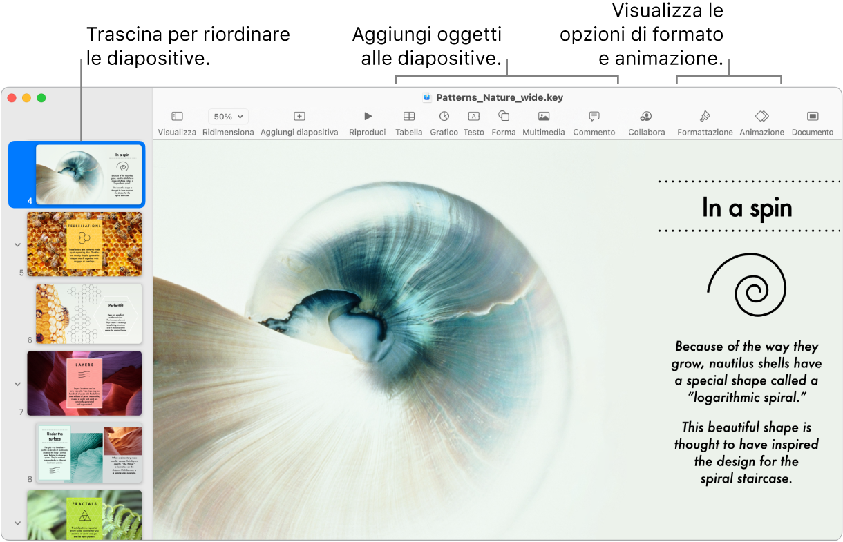 Una finestra di Keynote che mostra il navigatore diapositive a sinistra e il modo in cui riordinare le diapositive, la barra degli strumenti e i relativi strumenti di modifica in alto, il pulsante Collabora nella parte superiore destra e i pulsanti Formattazione e Animazione a destra.