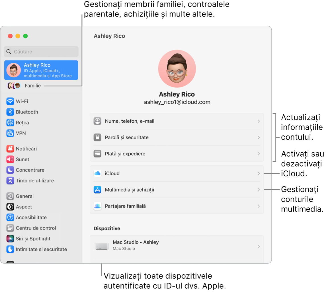 Configurările ID Apple din Configurări sistem cu explicații pentru actualizarea informațiilor contului dvs., activarea sau dezactivarea funcționalităților iCloud, gestionarea conturilor multimedia și Familie, unde puteți gestiona membrii familiei, controalele parentale, cumpărăturile și altele.