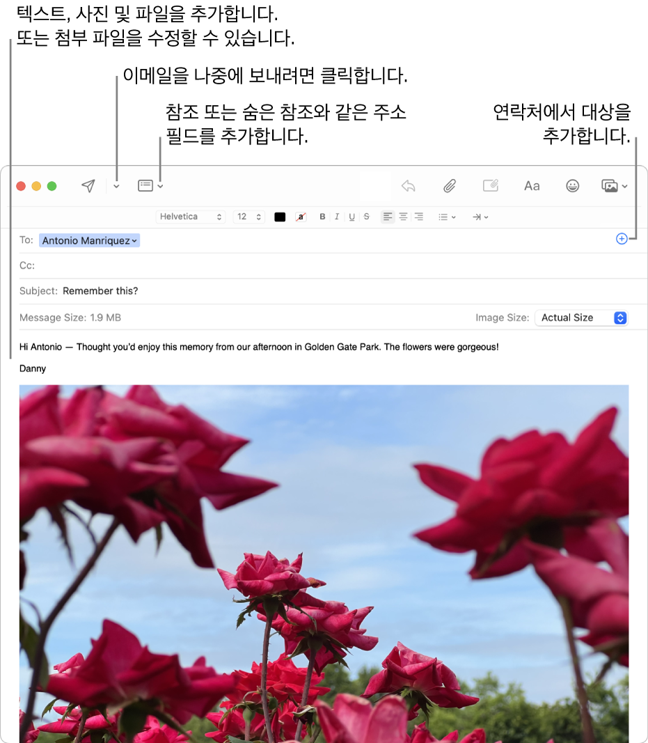 새로운 메시지 윈도우. 왼쪽 상단에 보내기 버튼과 헤더 버튼이 있음. 오른쪽 상단에 연락처 앱에서 사람을 추가하는 데 사용할 수 있는 추가 버튼이 있음. 메시지 본문에 이미지가 표시됨.