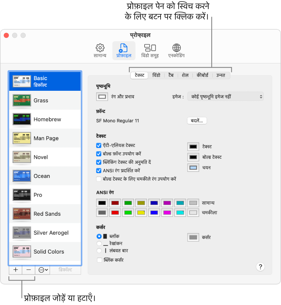 टर्मिनल प्रोफ़ाइल पेन चयनित बुनियादी प्रोफ़ाइल, प्रोफ़ाइल जोड़ने और हटाने के बटन तथा प्रोफ़ाइल पेन्स को बदलने के लिए इस्तेमाल किए जाने वाले बटनों को दर्शा रहा है।