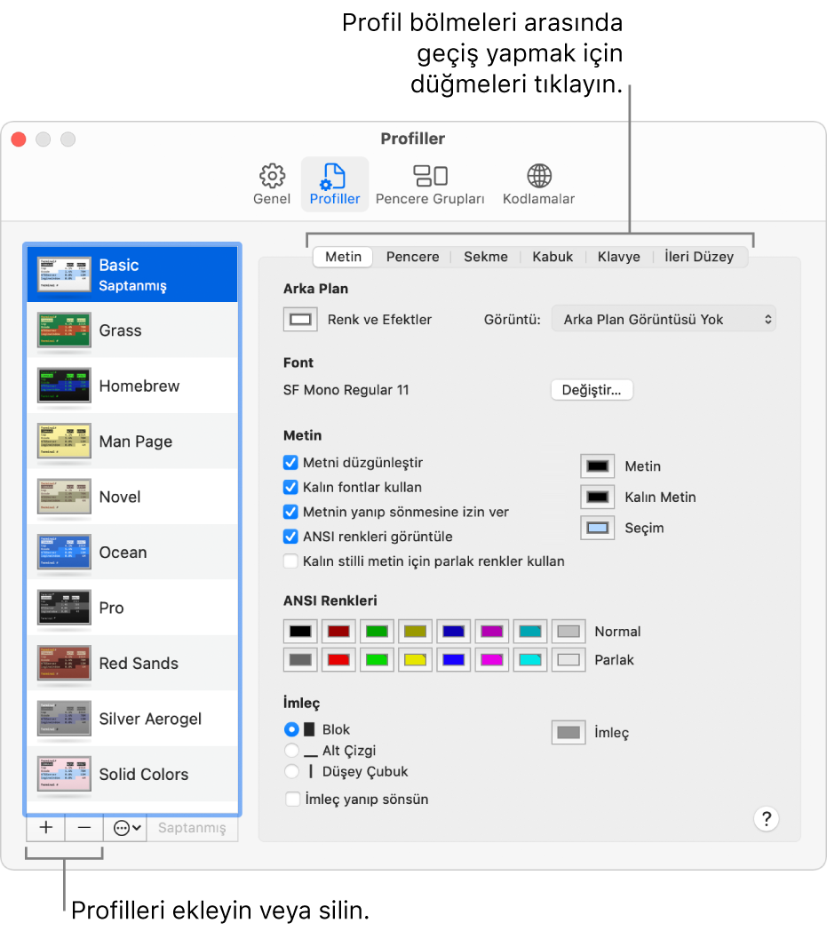 Seçili Temel profilini gösteren Terminal Profiller bölümü, profil ekleme ve silme düğmeleri ve de profil bölümleri arasında geçiş yapmak için kullanılan düğmeler.