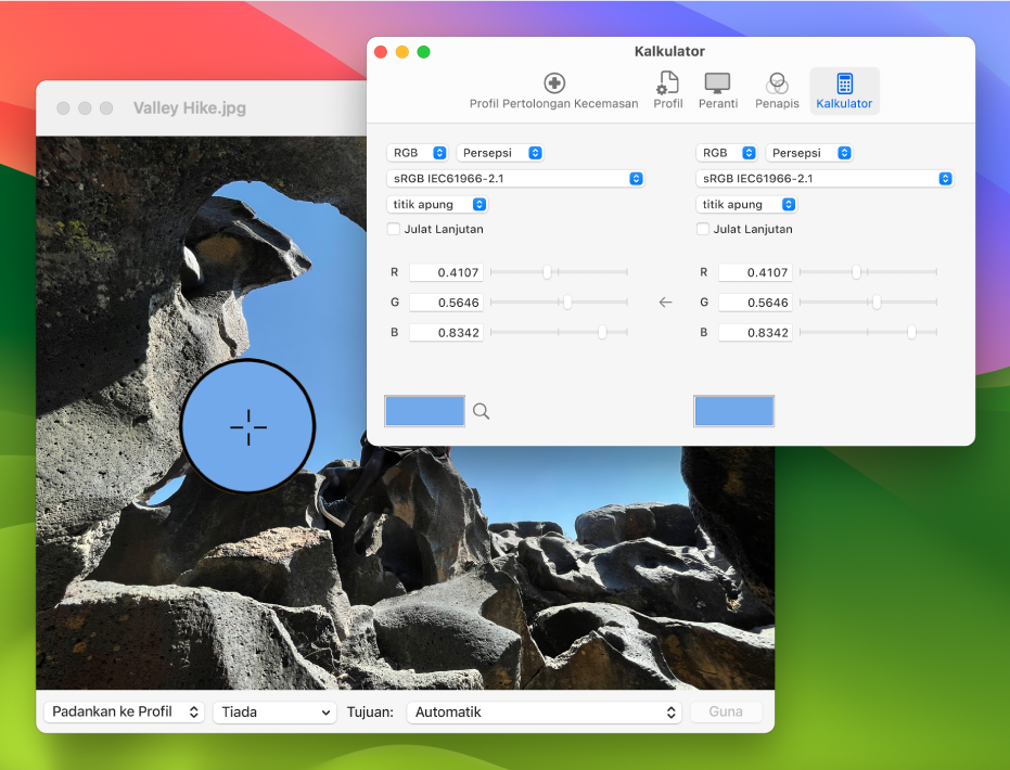 Anak tetingkap Kalkulator menunjukkan nilai warna untuk piksel dalam dua profil warna berbeza.