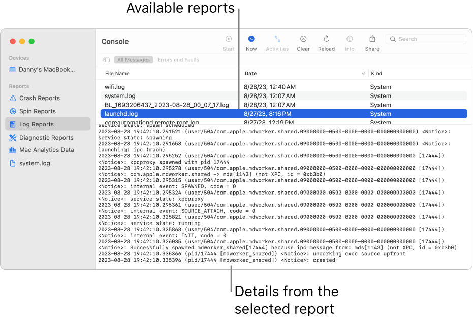 The Console window showing report categories in the sidebar, reports on the top and to the right of the sidebar, and report details below.