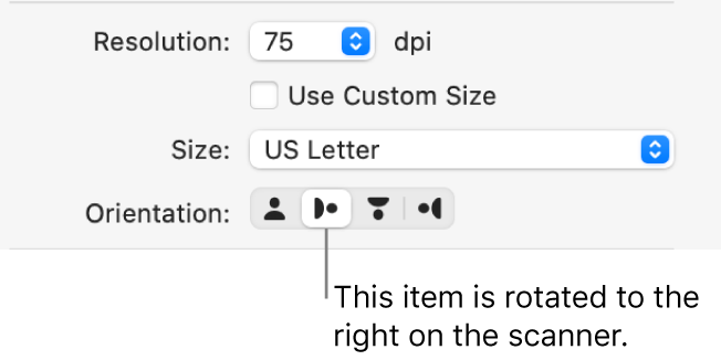 The Orientation buttons in the Scanner window. A highlighted button indicates that an item is rotated to the right on the scanner.