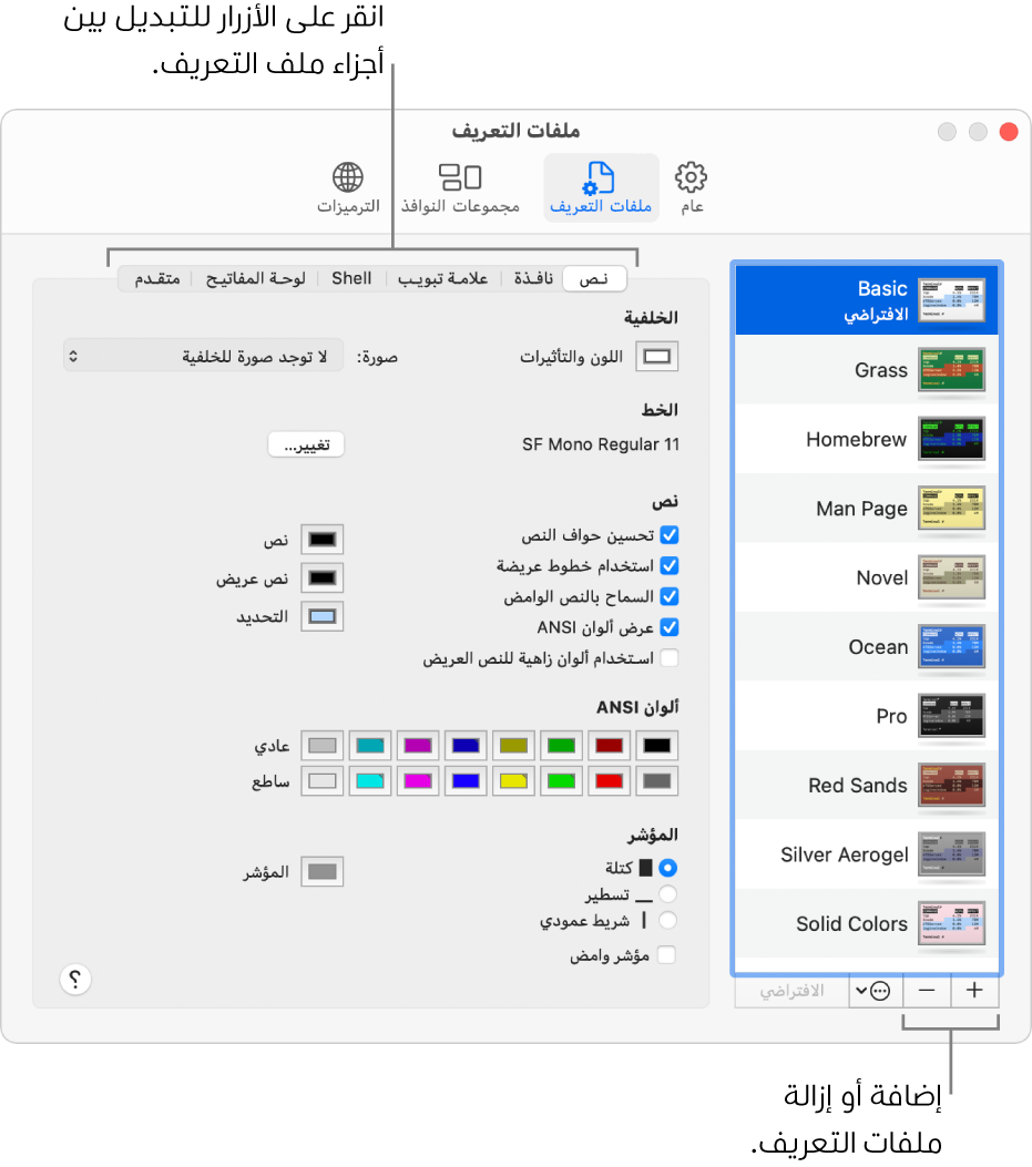 جزء ملفات تعريف الوحدة الطرفية يعرض ملف التعريف "Basic" وقد تم تحديده، وأزرار إضافة ملفات تعريف وإزالتها، والأزرار المستخدمة للتبديل بين أجزاء ملفات التعريف.