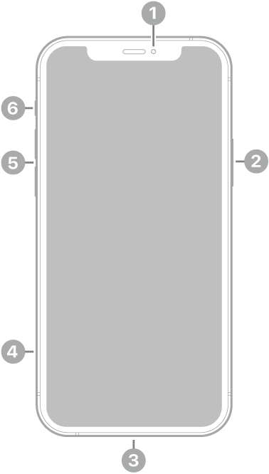 La vue de face de l’iPhone 12 Pro. L’appareil photo avant se trouve en haut au centre. Le bouton latéral est situé sur le côté droit. Le connecteur Lightning se trouve en bas. Sur le côté gauche, de bas en haut, se trouvent le support pour carte SIM, les boutons de volume et le bouton Sonnerie/Silence.