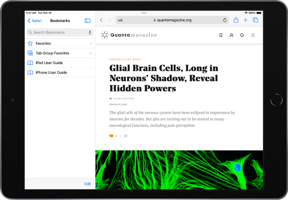 The Safari sidebar on the left side of the Safari window is open to Bookmarks. At the top is the Favorites folder. Below it are other bookmarks. At the bottom-right corner of the sidebar is the Edit button.