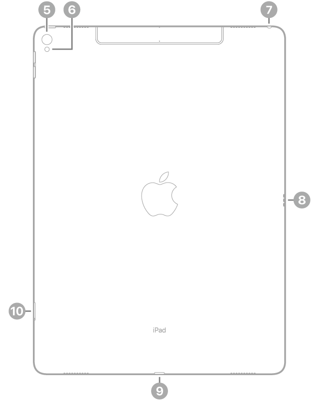 La vue de dos de l’iPad Pro, avec des légendes liées à l’appareil photo arrière et au flash en haut à gauche, à la prise casque en haut à droite, au Smart Connector à droite, au connecteur Lightning en bas au centre, ainsi qu’au support pour carte SIM (Wi-Fi + Cellular) en bas à gauche.