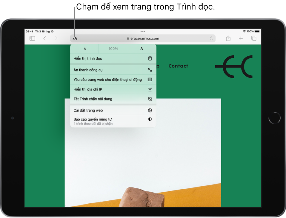 Một trang web được mở. Ở bên trái của trường tìm kiếm, nút Cài đặt trang được chọn, đang hiển thị các điều khiển cỡ chữ, tiếp theo là tùy chọn Hiển thị Trình đọc.