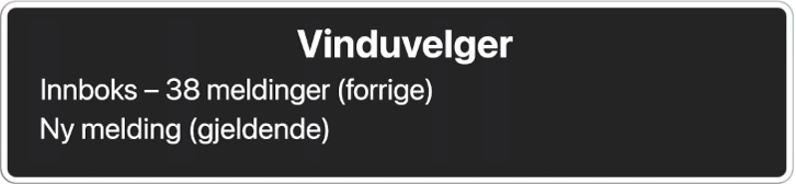 Vindusvelgeren lister opp to åpne vinduer.