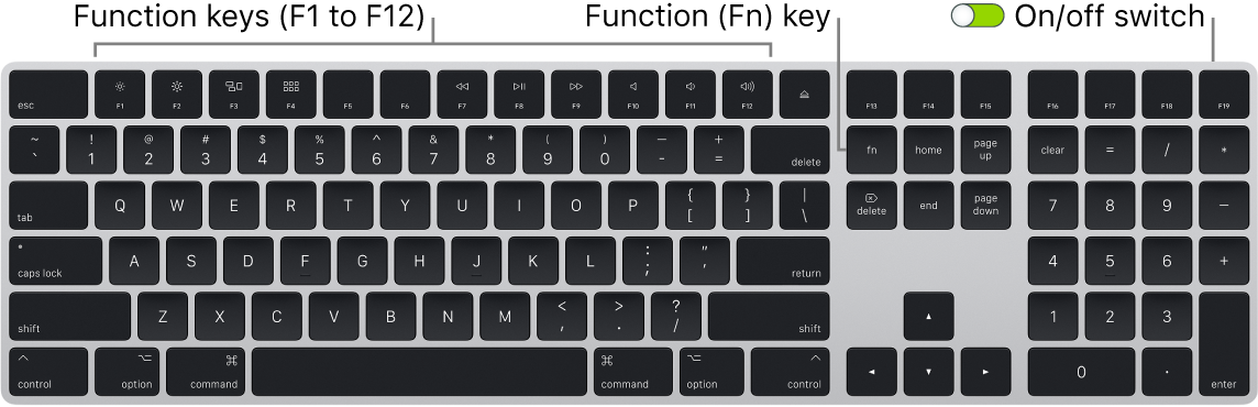 Magic Keyboard showing the Function (Fn) key in the bottom-left corner and the on/off switch in the upper-right corner of the keyboard.