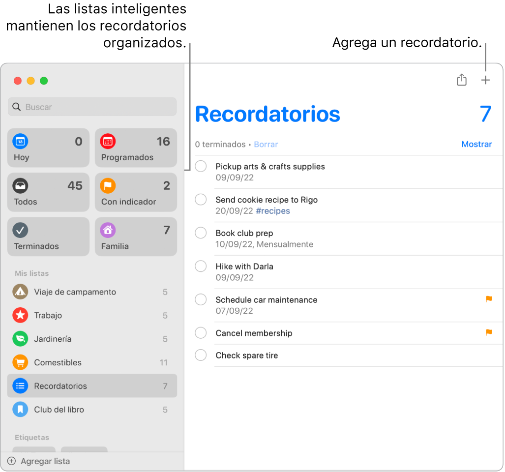 Una ventana de la app Recordatorios con listas inteligentes en el lado izquierdo, y otros recordatorios y listas debajo. El puntero está en un recordatorio. Hay globos para las listas inteligentes y para el botón Agregar un nuevo recordatorio.