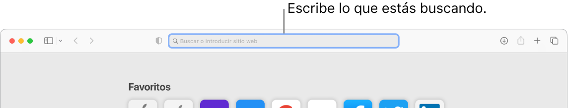 Una ventana de Safari recortada con una llamada al campo de búsqueda, en la parte superior de la ventana.
