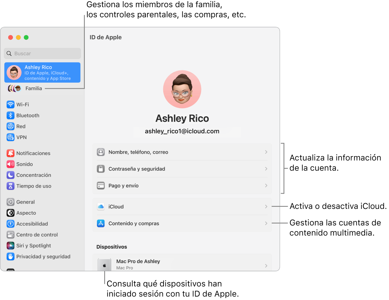 El panel ID de Apple en Ajustes del Sistema con llamadas para actualizar la información de la cuenta, activar o desactivar las funciones de iCloud, gestionar las cuentas de redes sociales y Familia, donde puedes gestionar los miembros de la familia, el control parental, las compras y mucho más.