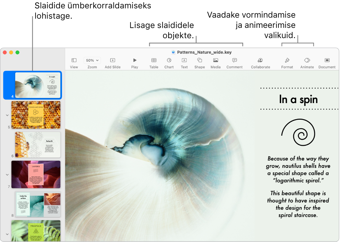 Keynote'i aknas kuvatakse vasakul slaidijaotist ning näidatakse kuidas slaide ümber korraldada, üleval on tööriistariba ja selle töötlustööriistad, üleval paremal osas nupp Collaborate ning paremal nupud Format ja Animate.