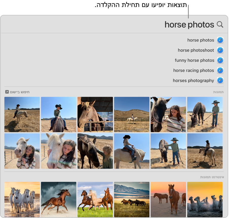 החלון של Spotlight שמציג תוצאות חיפוש ״תמונות של סוסים״.