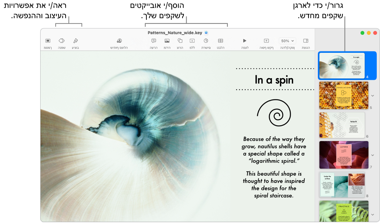 חלון של Keynote המציג את הדרך לשינוי הסדר של שקפים ואת נווט השקפים משמאל, את סרגל הכלים ואת כלי העריכה בחלק העליון, את הכפתור ״שתף פעולה״ בסמוך לפינה הימנית העליונה ואת הכפתורים ״עיצוב״ ו״הנפש” מימין.