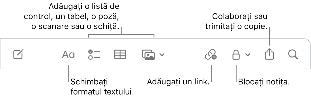 Bara de instrumente Notițe, cu explicații pentru formatarea textului, listă de control, tabel, link, poze/conținut multimedia, blocare, partajare și instrumentele pentru trimiterea unei copii.