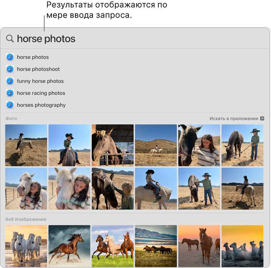 Окно Spotlight, в котором показаны результаты поиска «фото лошадей».